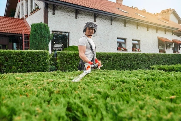 Popular Landscaping Trends for Modern Homes