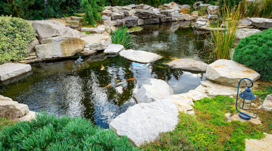 Pond Care